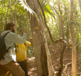 Personas observando diferentes especies de árboles en el Parque Nacional de Elijio Panti Honduras