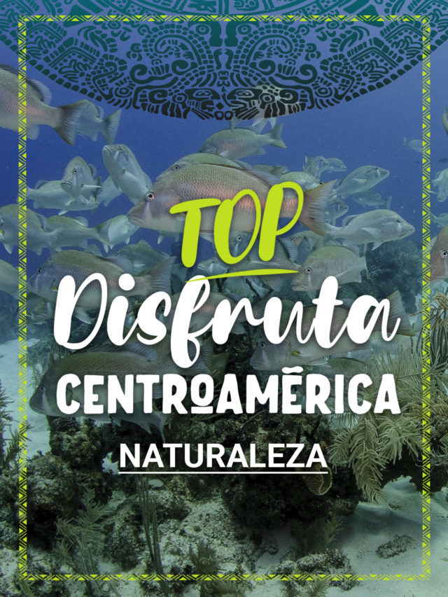 Top Naturaleza Centroamérica